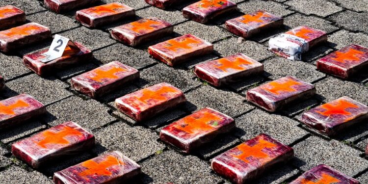 PNC incauta 200 kilos de cocaína.