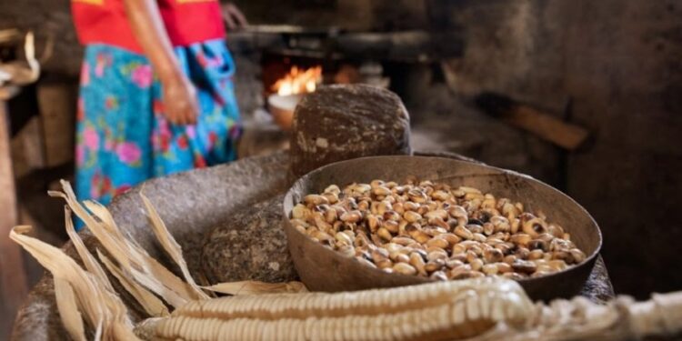 Más que una idea de negocio, es una iniciativa de cultivar la cultura del café.