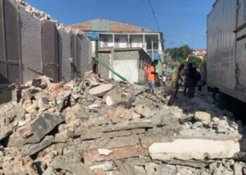 Terremoto en Haití deja al menos 29 muertos.