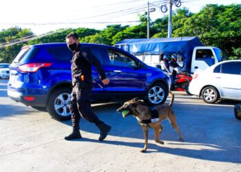 PNC utiliza drones en operativo de incursión en Santa Ana.