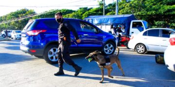 PNC utiliza drones en operativo de incursión en Santa Ana.