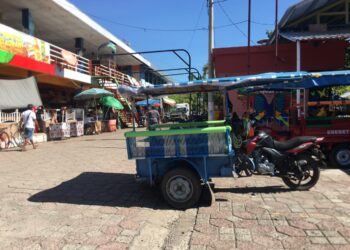 Carretoneros de Puerto El Triunfo piden ser incluidos en proyecto turístico.