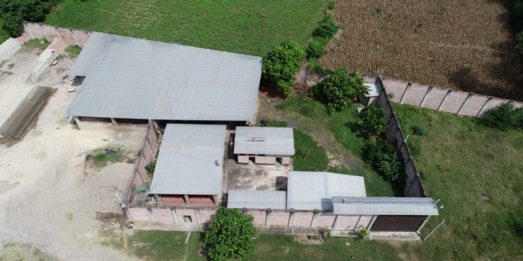 Realizan extinción de dominio en contra de estructura criminal.