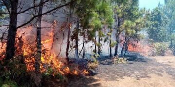 Autoridades preocupadas ante alto número de incendios