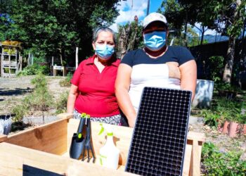 Capitalinos implementan iniciativas de auto sustentabilidad a través de huertos caseros.