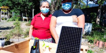 Capitalinos implementan iniciativas de auto sustentabilidad a través de huertos caseros.