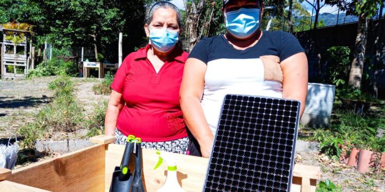 Capitalinos implementan iniciativas de auto sustentabilidad a través de huertos caseros.