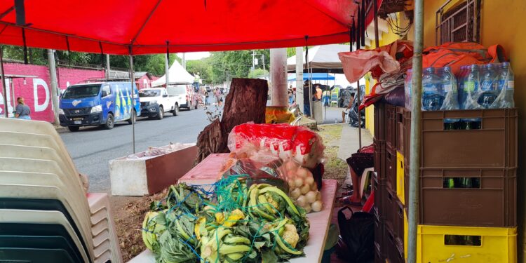 Preparaciones ante Carnaval de San Miguel