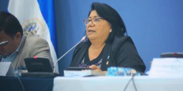 Comisión Adhoc lleva seis semanas sin sesionar.
