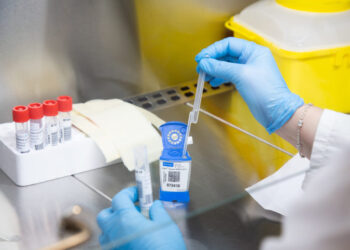 Descubren nueva variante del Coronavirus en Sudáfrica con múltiples mutaciones.