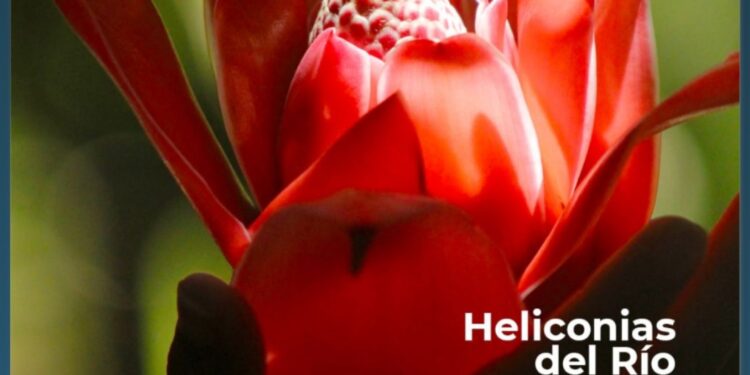 FIAES lanza 5ta edición de su revista