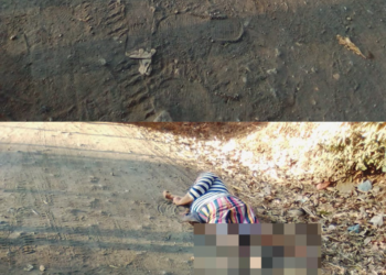 Anciana muere atropellada en San Miguel.