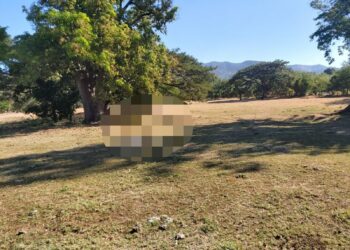 Asesinan a agricultor en Morazán.