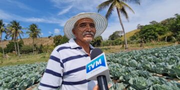 Agricultores en crisis por elevado costo de fertilizantes