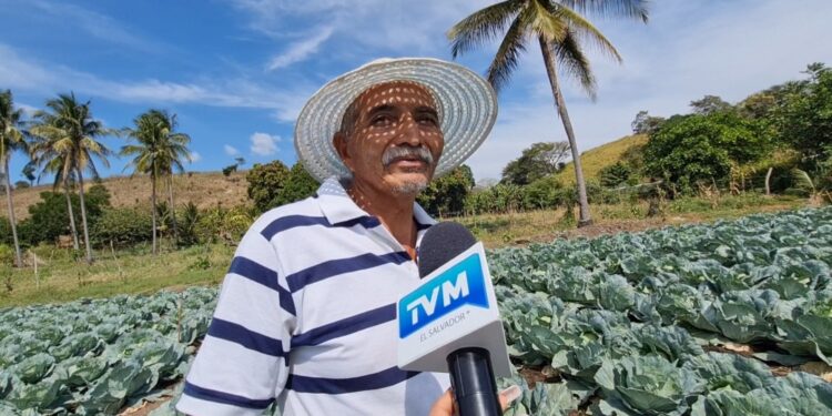 Agricultores en crisis por elevado costo de fertilizantes