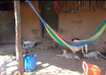 Pandilleros salvadoreños obligan a guatemaltecos a huir de aldea.