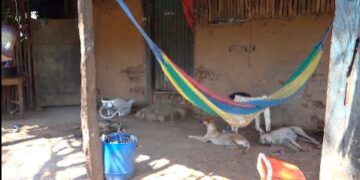 Pandilleros salvadoreños obligan a guatemaltecos a huir de aldea.