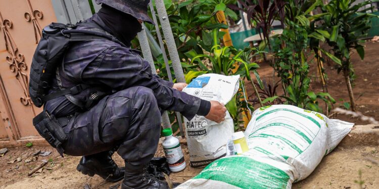 Decomisan paquete agrícola a mujer que lo vendía a través de redes sociales.