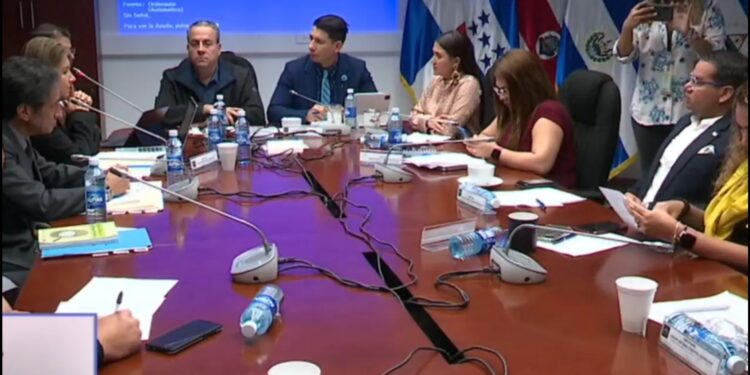 Comisiones se reúnen para estudiar iniciativas