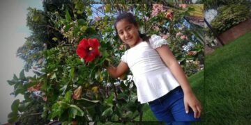 Pitbull mata a una niña de 7 años.