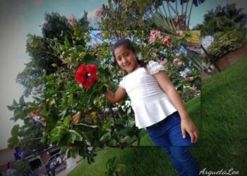 Allison habría sido asesinada por familiar.