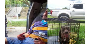 Perro ataca brutalmente a hombre en Ilopango.