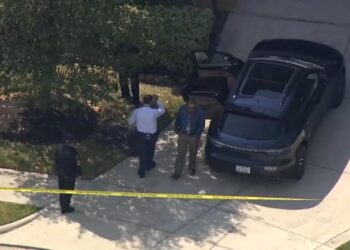 Niño de 5 años muere luego que su madre lo olvidara en el auto.