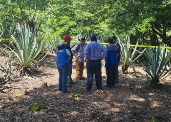 Exhuman cadáveres de masacre ocurrida en el conflicto armado.