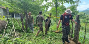 Asesinan anciana en San Miguel.