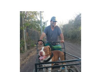 “Es una calumnia”. Familia desmiente acusaciones de abuso sexual en perrita.