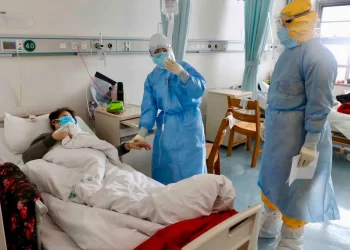 Detectan nuevo virus en China de origen animal.