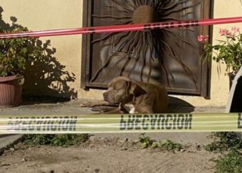 Asesinan a periodista en México que mantenía disputa con exgobernador.