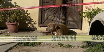 Asesinan a periodista en México que mantenía disputa con exgobernador.