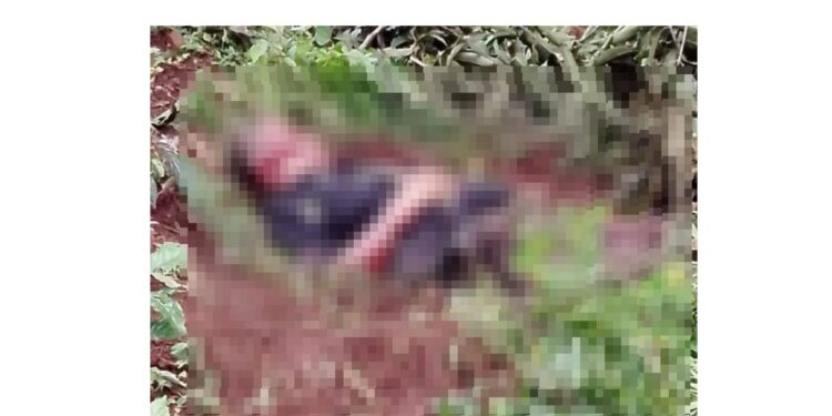 Asesinan a machetazos a un anciano en Morazán.