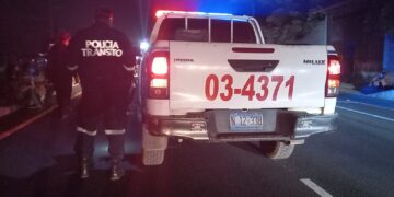 Dos hermanos mueren tras ser embestidos por un camión.