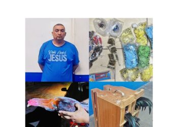 Capturan a hondureño que transportaba 5 gallos de forma ilegal.