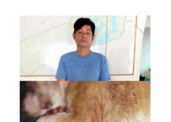 Capturan a hombre por lesionar a un perro.