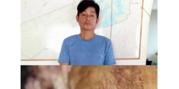 Capturan a hombre por lesionar a un perro.