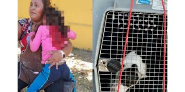Sancionarán a dueño de Pitbull que atacó a niña.