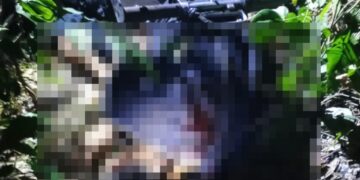 Pandillero murió abatido por Fuerzas de Seguridad en Tepecoyo.