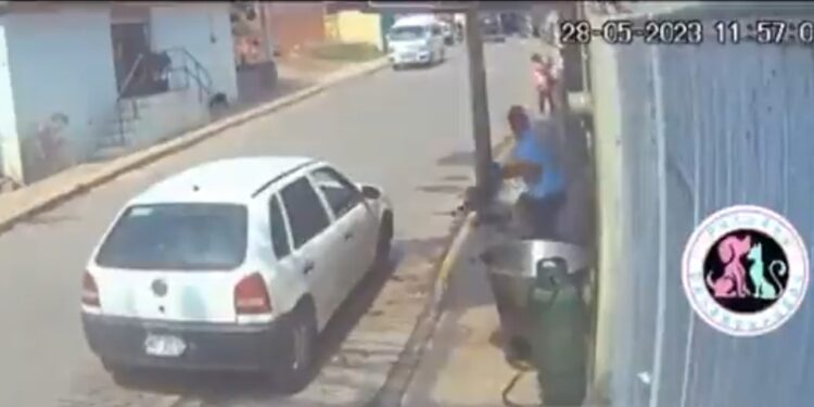 Hombre lanza a perro dentro de recipiente con aceite hirviendo.
