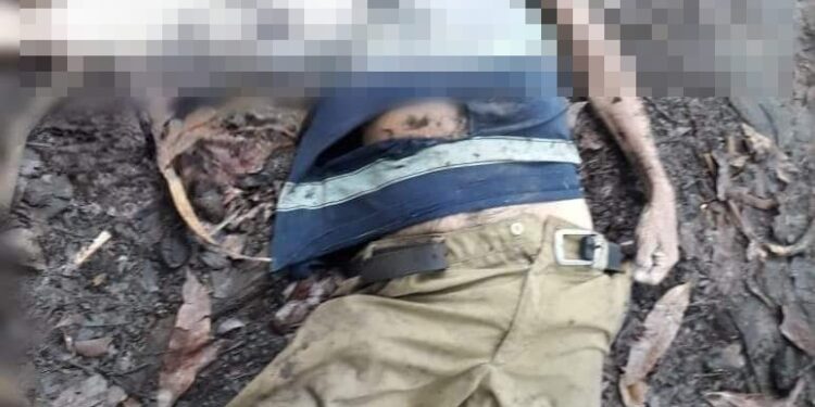 Perros pitbull matan a hombre en Santiago Nonualco.