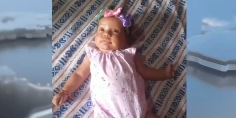Muere bebé al caer con su madre de “La Bestia”.
