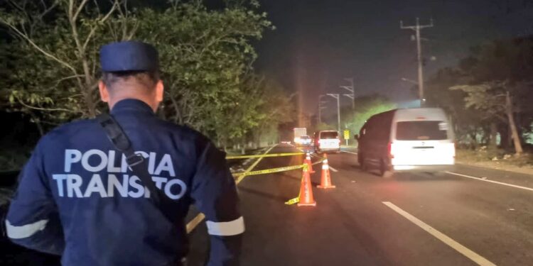 Dos motociclistas fallecieron, tras impactar contra árbol.