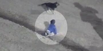 Encuentran a bebé gateando solo en Argentina.