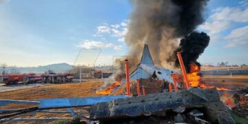 Continúa investigación tras accidente aéreo en Corea del Sur.
