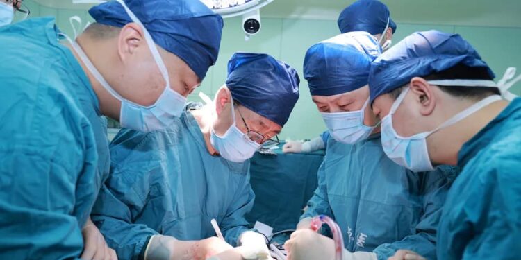 Médicos chinos logran implantar un hígado de cerdo en humano.