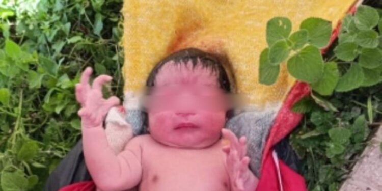 Abandonan a recién nacido en predio baldío en Honduras.
