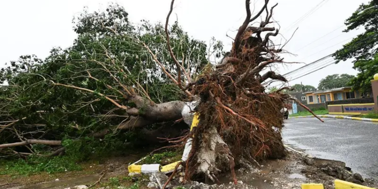 Melissa toca tierra en Jamaica como huracán categoría 5