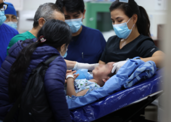 Pitbull ataca y desfigura a niño en Perú.